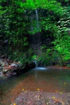 Gitgit Waterfalls Stock Photos