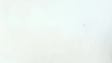 Give bread for hands, video 4k Stock Footage 82986498