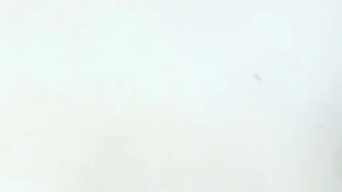 Give bread for hands, video 4k Stock Footage 82987185