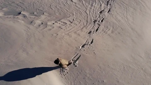 Give Up Conception Stock Footage 105460712