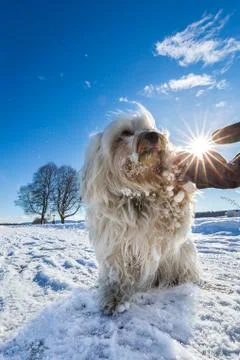 Give five Foto stock