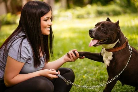 Give Paw Stock Photos