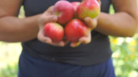 Giving apples away Stock-Footage 25335361