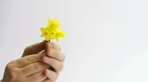 Giving flowers Video stock 5186421