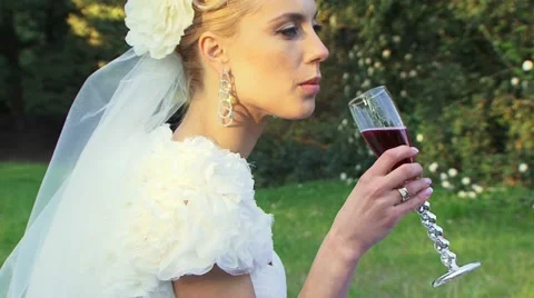 Giving A Toast Stock Footage 52486122