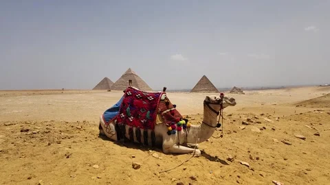 Giza Pyramid Complex in Egypt, view from the desert Stock Footage 311269155