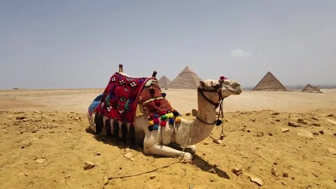 Giza Pyramid Complex in Egypt, view from the desert Stock Footage 311269192
