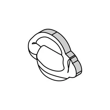 Gizzard chicken isometric icon vector illustration 스톡 일러스트