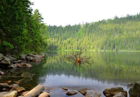 Glacial Devil`s Lake in the Czech republic. Stock Photos