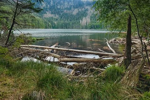 Glacial devil`s lake surrounded by the forest Stock Photos