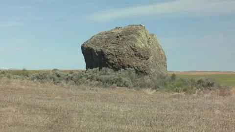 Glacial erratic in farm field Video stock 299607321