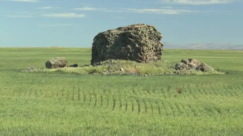 Glacial erratic in farm field Video stock 299607326