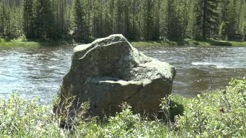Glacial erratic in Madison River Video stock 299607669