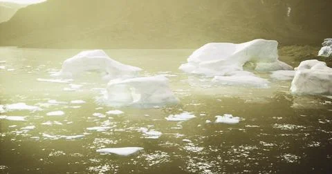 Glacial formations drift in calm waters beneath soft sunlight Illustrazione stock