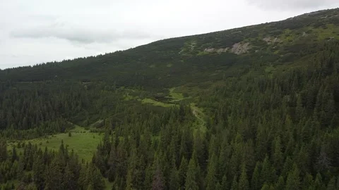 Glacial Gem: Drone Exploration of a Pristine Lake Amidst Lush Vegetation Video stock 255520347