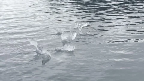 Glacial ice floating in the water Stock Footage 280460879