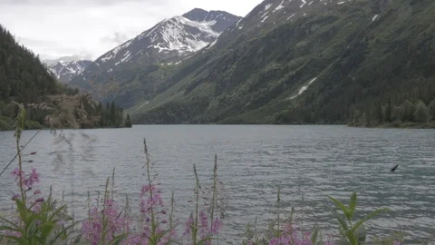 Glacial Lake Set in Between Mountains Stock Footage 94155411