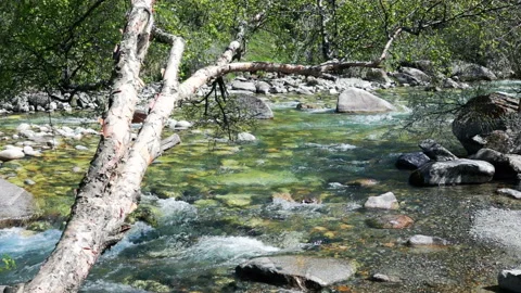 Glacial Mountain River 2 Stock Footage 90232662