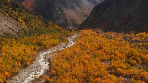 Glacial Mountain Stream Flanked by Autumn Leaves Stockbeeldmateriaal 100085118