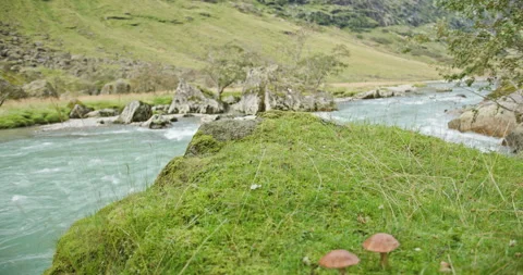 Glacial river rapids with mossy rocks and wild mushrooms in a Norwegian mountain Stock-Footage 322028709