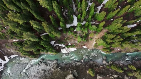 Glacial river winding through pine forest Stock Footage 334014522