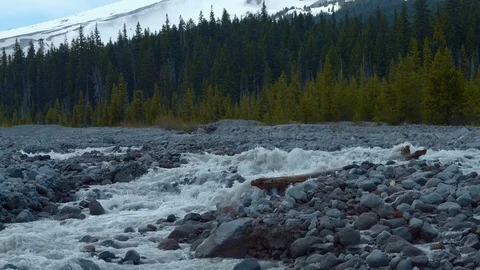 Glacial spring snowmelt stream White River in front of forest and mountain 1 Mt. Stock Footage 81701158
