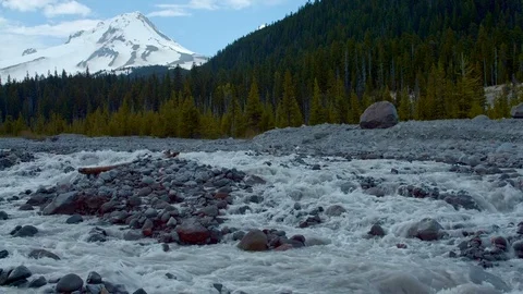 Glacial spring snowmelt stream White River in front of forest and mountain 1 Mt. Video stock 81701251