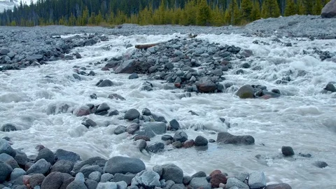 Glacial spring snowmelt stream White River in front of forest and mountain 1 Mt. Stock Footage 81702480