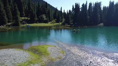 Glacial Stream Flowing Into Alpine Lake. Kyrgyzstan, Suttuu-Bulak Lake. Stock Footage 332787262