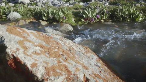 Glacial water flows in a brook high in the mountains 3 Vídeo Stock 103963279