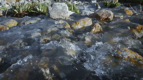 Glacial water flows in a brook high in the mountains 5 動画素材 103964426