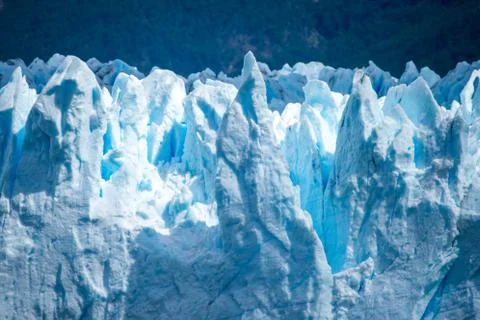 Glacier in the background of the forest. Shevelev. Stock Photos