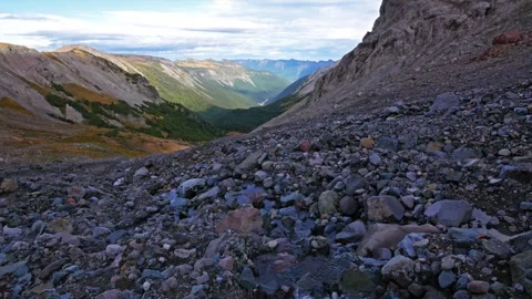 Glacier Basin Trail in Mount Rainier National Park, Washington State, USA Stock Footage 332142067