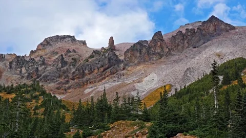 Glacier Basin Trail, Mount Rainier National Park, Washington State, USA Video stock 332144668
