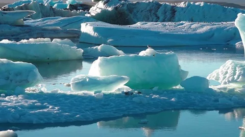 Glacier 動画素材 73319581