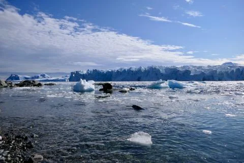 Glacier front with stone beach landscape before calm water in Antarctica Stock Photos