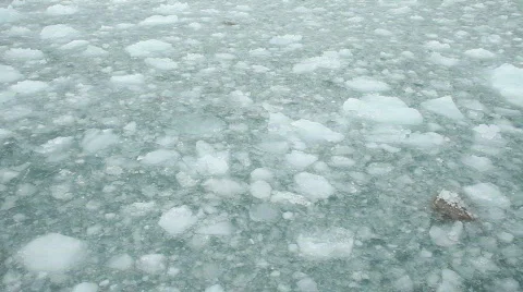 Glacier ice floating in ocean P HD 8351 Stock Footage 831607