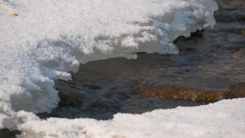 Glacier Melting Close-up Producing Shallow Water Stream Flow in Winter Stock Footage 229115242