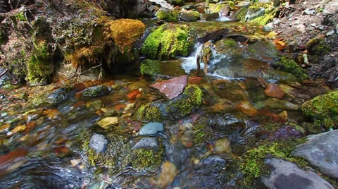 Glacier National Park Stream Stock-Footage 33445587