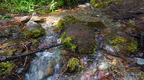 Glacier National Park Stream Stock Footage 34206008