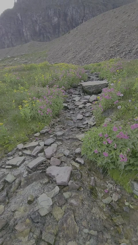 Glacier NP Stock Footage 319595483