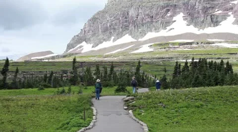 Glacier NP Logan Pass trail hike P HD 0521 Stock Footage 10595432