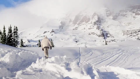 Glacier Path Stock-Footage 315114884