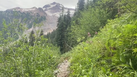 Glacier Peak on the PCT in Washington Video stock 221581649
