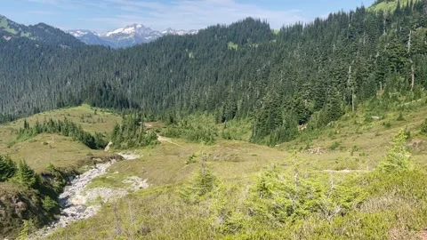 Glacier Peak Wilderness Washington Video stock 221581501