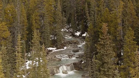 Glacier River in Banff  NP Stock Footage 72345743