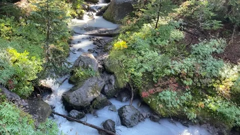 Glacier silty stream in Mount Jefferson Wilderness Stock Footage 329457755