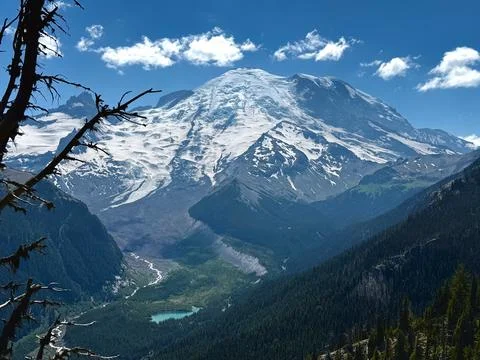 Glacier view framed by leafy trees in Mount Rainier National Park.USA, Washin Stock Photos