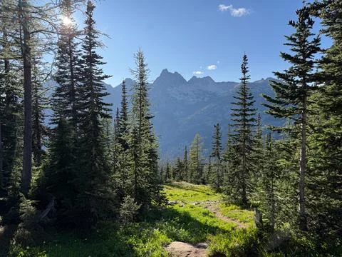 Glacier view framed by leafy trees in Ross Lake North Cascades National Park. Stock Photos