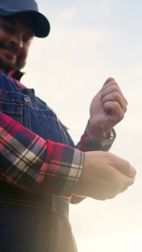 Glad farm worker pouring grains in hands, portrait view against sky, agriculture Stock Footage 345509412